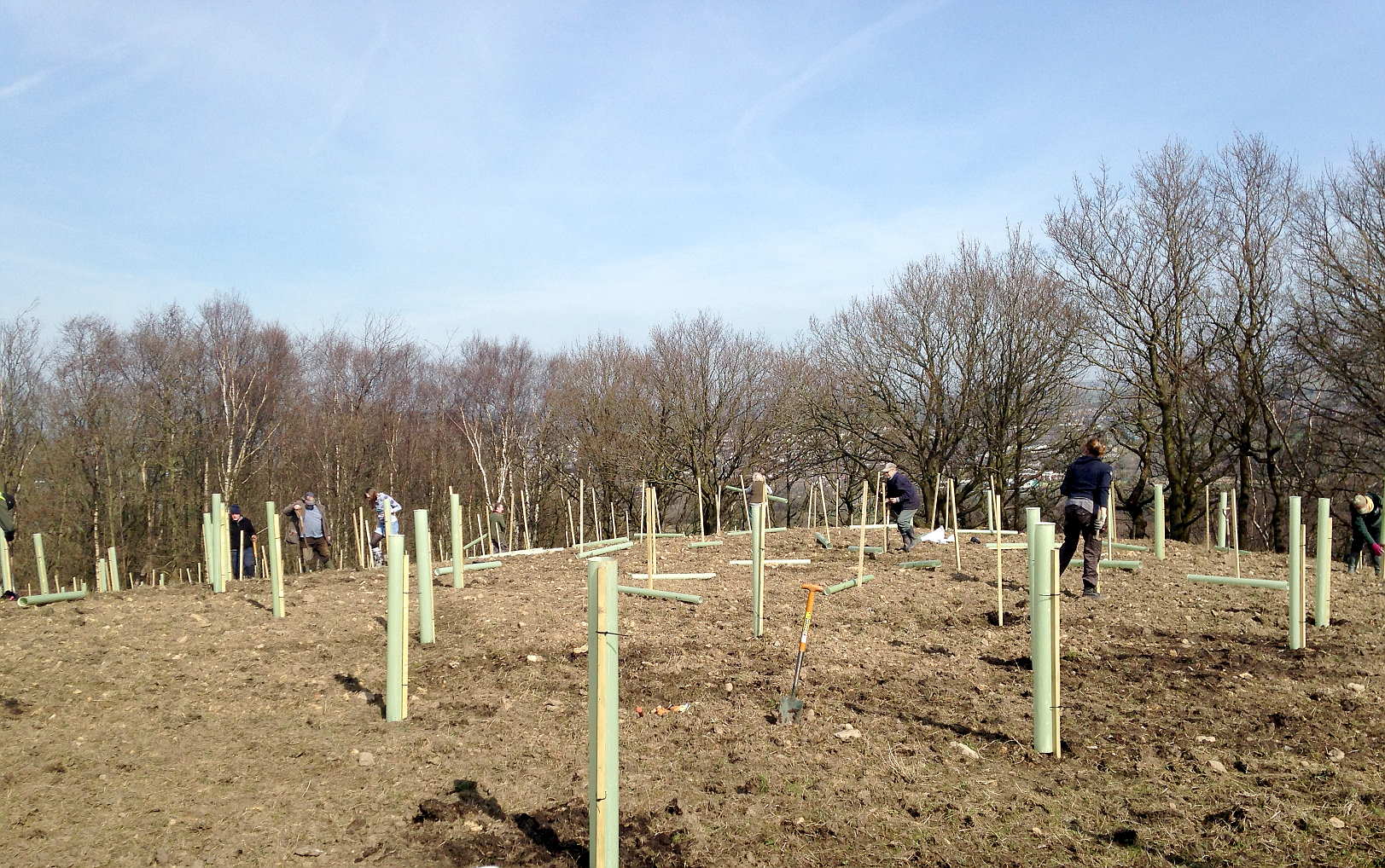 volunteer working with trees for burnley