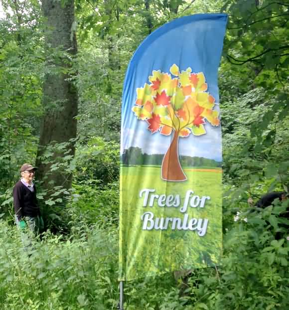 trees for burnley flag