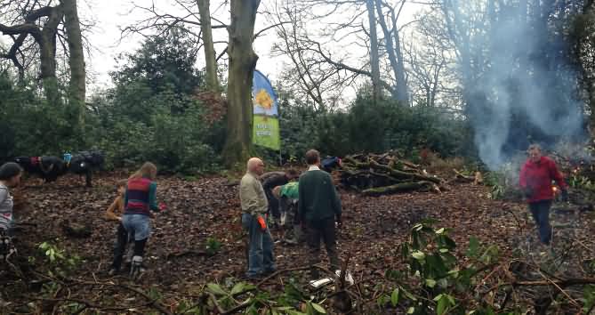 volunteers working with trees for burnley