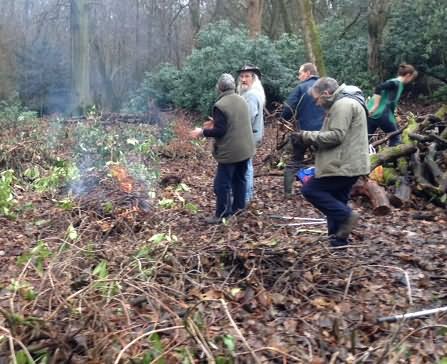 volunteers working with trees for burnley