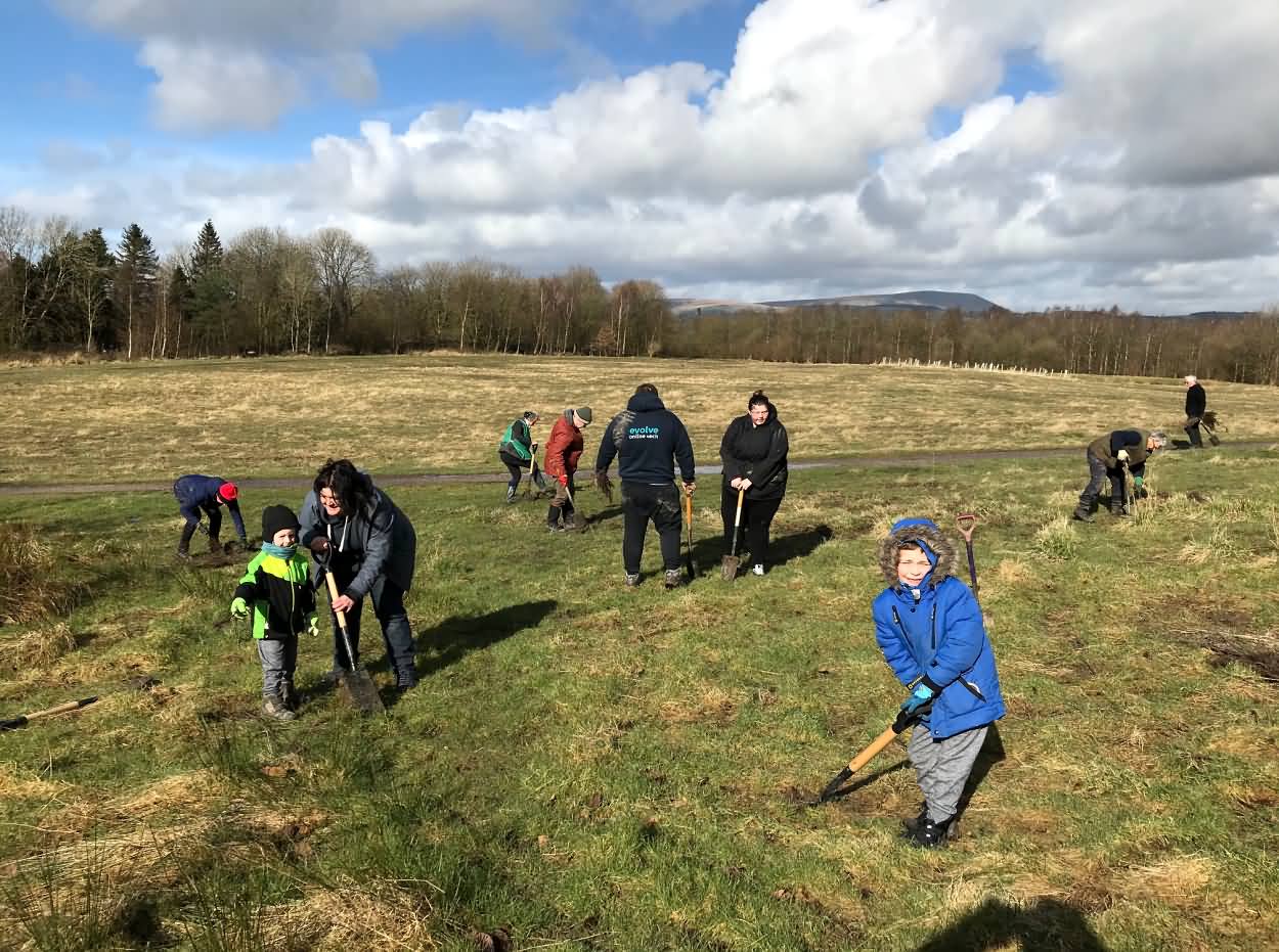 volunteers working with trees for burnley